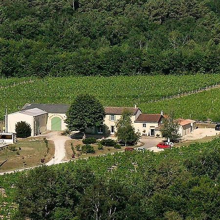 Domaine De Grand Homme Hotel Bordeaux Zewnętrze zdjęcie