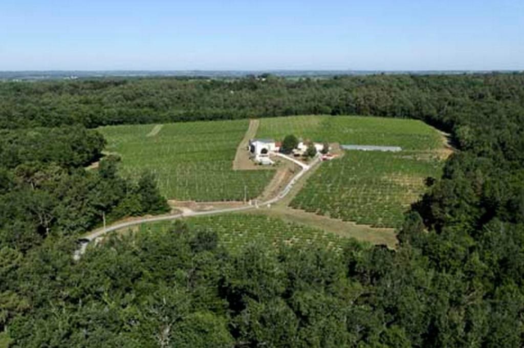 Domaine De Grand Homme Hotel Bordeaux Zewnętrze zdjęcie